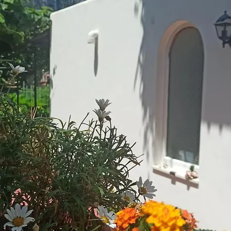 Villa dei fiori B&B-2