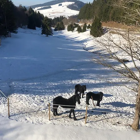 Waldhotel Auerhahn Hochkopfhaus-3