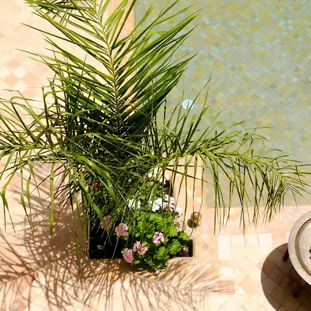 Riad Les Hibiscus-3