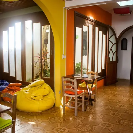 Geckos Hostel-3