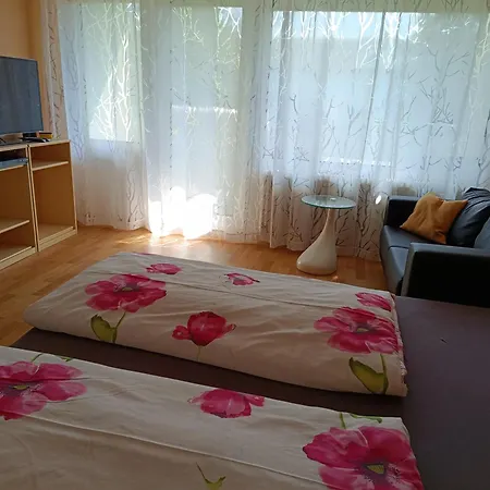 Offenburg Apartment-2