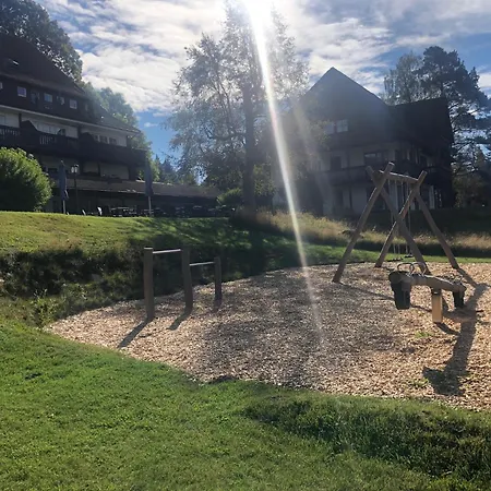 Ferienwohnung Hochschwarzwald-2