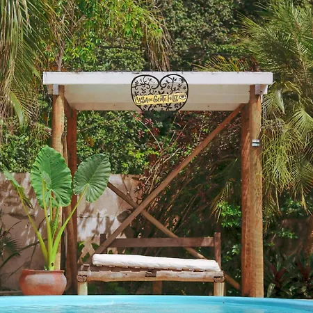 Tropical Hostel-2