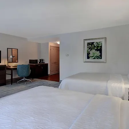 Hilton Garden Inn Fort Myers-2