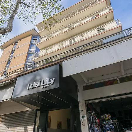 Hotel Lily-3