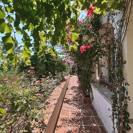 Quinta de São Pedro de Tomar-2