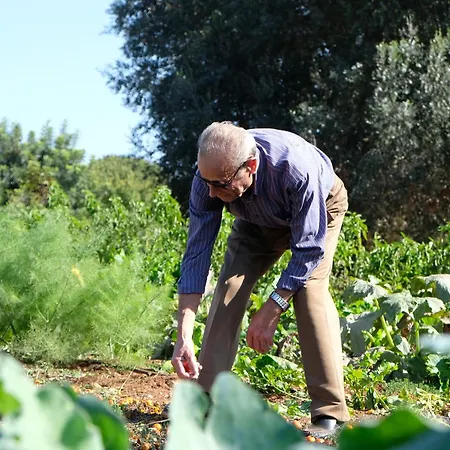 Masseria Grieco-2