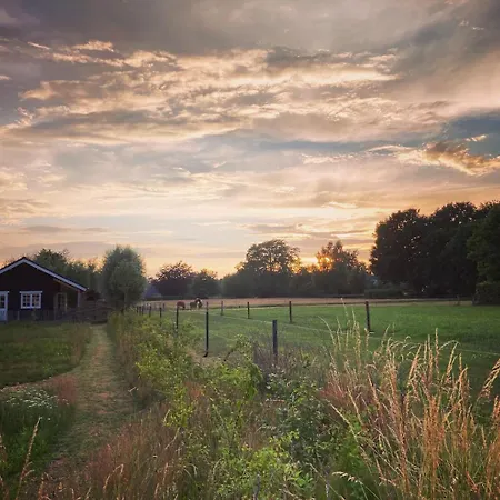 Buitenhuisje B&B De Veldweg-2