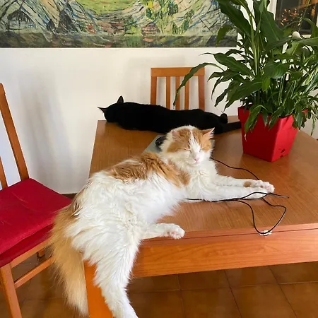 A casa di Elena-2