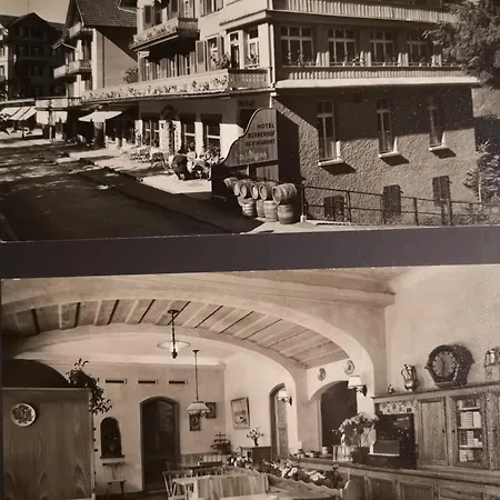 Swiss Lodge Hotel Bernerhof-3