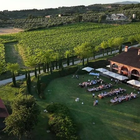Il Palazzo - Agriturismo, Winery-3