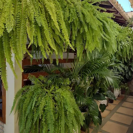 Pousada Vila Morena-3