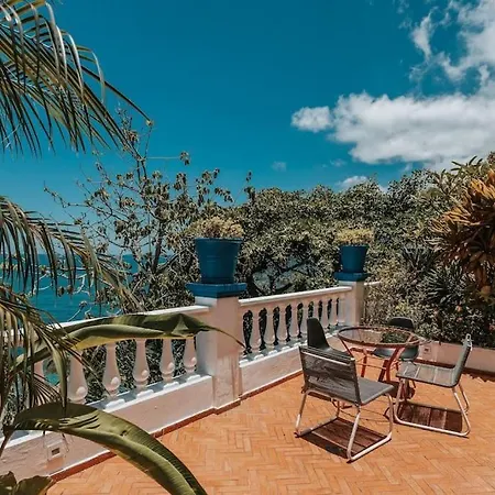 Tropical Escape Next To Leblon-3
