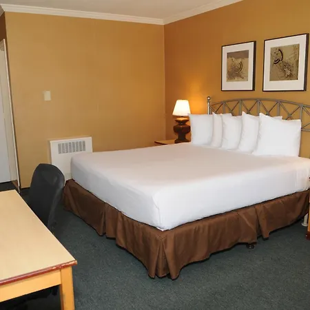 Civic Center Motor Inn-2