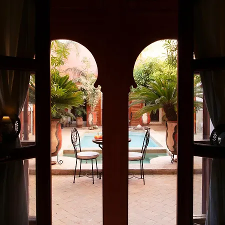 Riad Alili-3