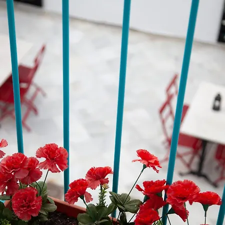 Casual De Las Letras Sevilla By Casual Hoteles-2