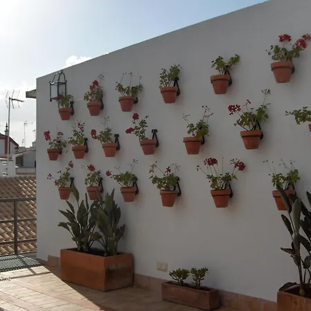 Hotel Murillo-3