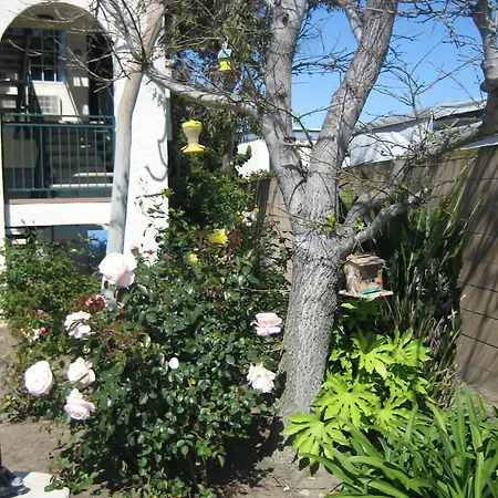 Oceanview Motel-2