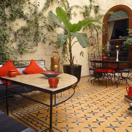 Riad Jomana-3