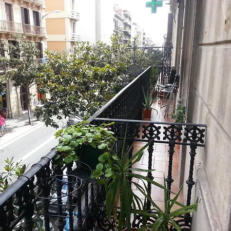 Barcelona Housing Recommend For Students-3