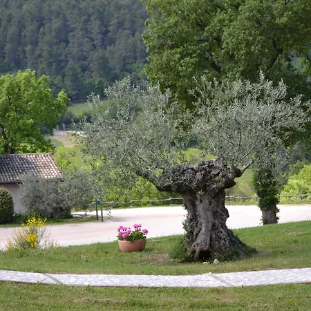 Valle Rosa-2