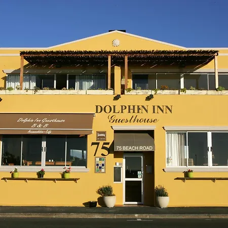 Dolphin Inn Guesthouse-2
