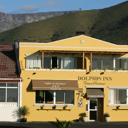Dolphin Inn Guesthouse-3