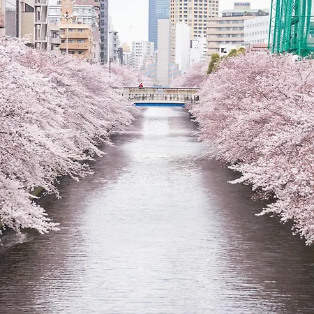 Gajoen Tokyo-3