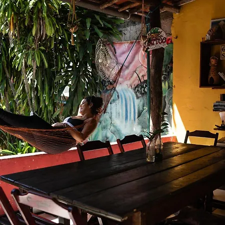 Bananas Hostel-3