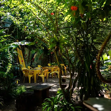 Bananas Hostel-2