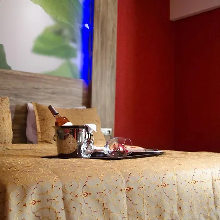 Delfi Hotel Spa & Wellness Center-2