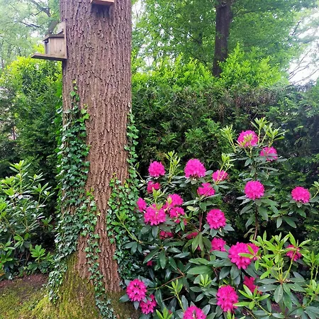 Vakantie veluwe-3