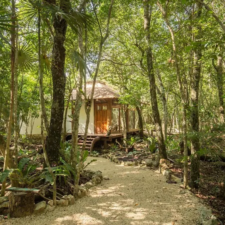 Pepem Holistic Experience - Peaceful Retreat Near Tulum (Adults Only)-3