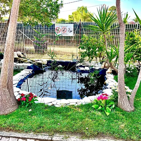 Villa Latino-3