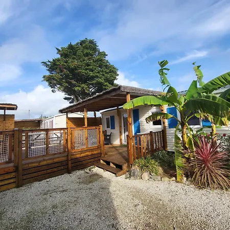 Camping l'Albatros-3