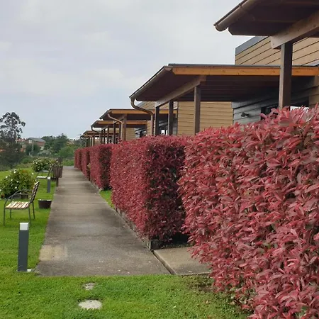 Bungalows Elma-2