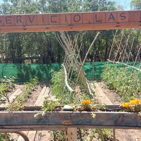 En Finca Las Dunas dos Chalets con jacuzzis en primera linea de playa , uno de 4 dormitorios y otro de 2 dormitorios, Llama al Seiscientos veintisiete Cuatrocientos diecisiete Trescientos noventa y ocho-2