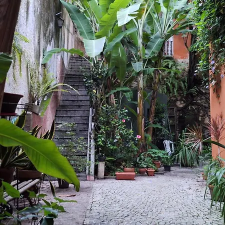 Casa Laranja-2