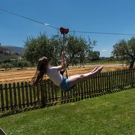 Agriturismo Il Girasole Assisi-2