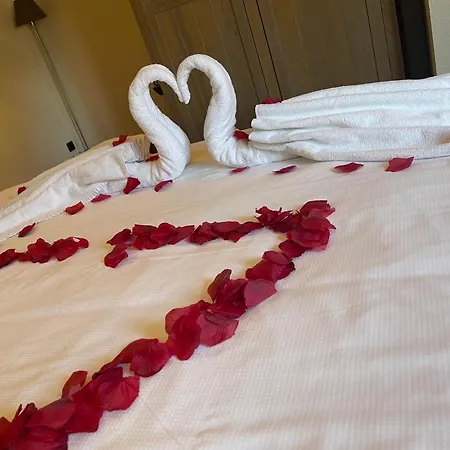 Lace Hotel-2