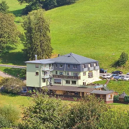 Hotel Grüner Baum mit Restaurant&Wellness-3