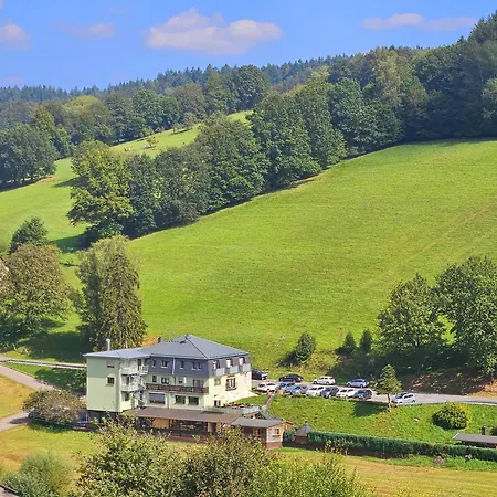 Hotel Grüner Baum mit Restaurant&Wellness-2