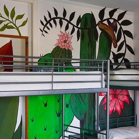 La Casa Verde-3