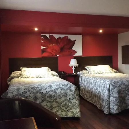 Miami Motel-3