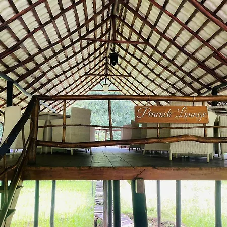 Clio Ella Resort-2