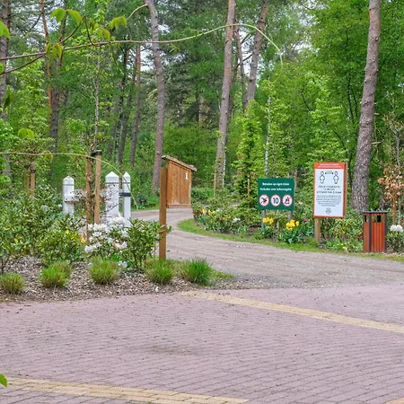 Lijsterbes-2
