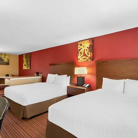 Surestay Plus By Best Western San Antonio Fiesta Inn-3