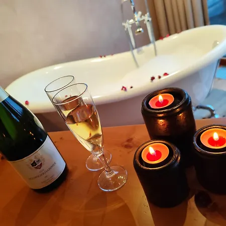 Wellness Aparthotel Panorama Alpin - Ferienwohnungen Jerzens Im Pitztal-3