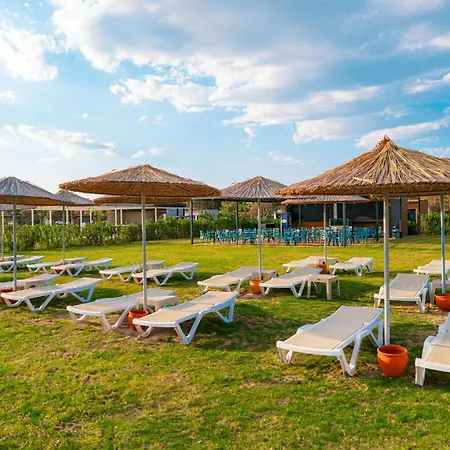 The X Belek-3