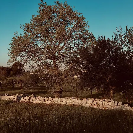 Masseria Fenicia-3